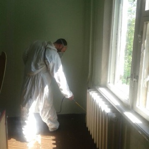 Уничтожить тараканов в квартире в Череповце