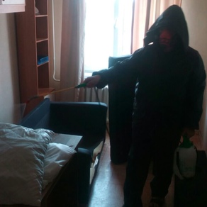 Уничтожение тараканов в квартире с гарантией в Череповце