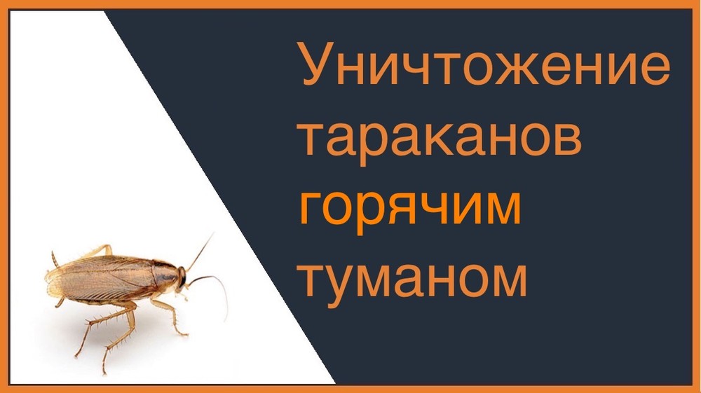 Уничтожение тараканов горячим туманом в Череповце