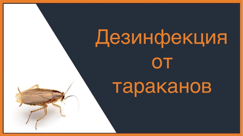 Дезинфекция от тараканов в Череповце