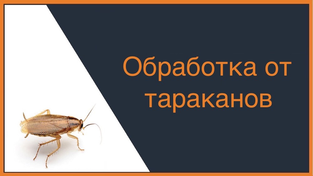 Обработка от тараканов в Череповце